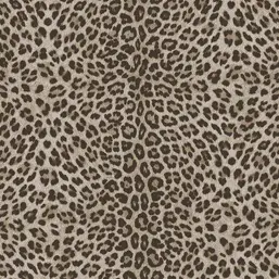  Zambaiti Parati Philipp Plein 2  Z81028