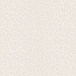 ���� Zambaiti Parati Philipp Plein 2  Z81030