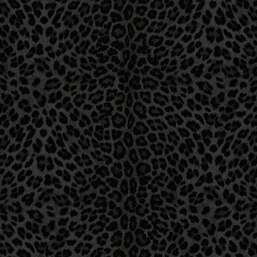 ���� Zambaiti Parati Philipp Plein 2  Z81031