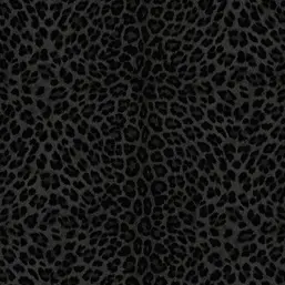  Zambaiti Parati Philipp Plein 2  Z81031