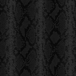 ���� Zambaiti Parati Philipp Plein 2  Z81034