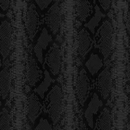  Zambaiti Parati Philipp Plein 2  Z81034