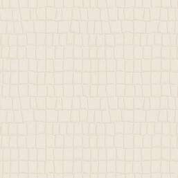 ���� Zambaiti Parati Philipp Plein 2  Z81035