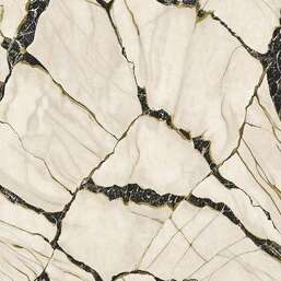 ���� Zambaiti Parati Philipp Plein 2  Z81038