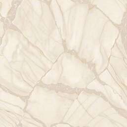 ���� Zambaiti Parati Philipp Plein 2  Z81039