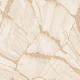 ���� Zambaiti Parati Philipp Plein 2  Z81040