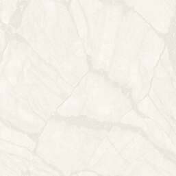 ���� Zambaiti Parati Philipp Plein 2  Z81042