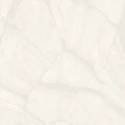  Zambaiti Parati Philipp Plein 2  Z81042