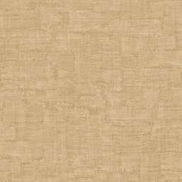 ���� Zambaiti Parati Philipp Plein 2  Z81045