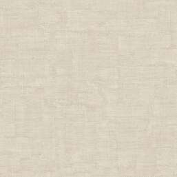 ���� Zambaiti Parati Philipp Plein 2  Z81047