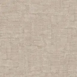  Zambaiti Parati Philipp Plein 2  Z81050