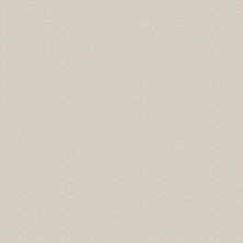 Обои Zambaiti Parati Philipp Plein Z80059