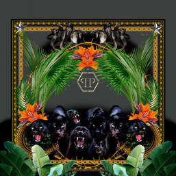  Zambaiti Parati Philipp Plein Z80063