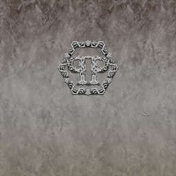  Zambaiti Parati Philipp Plein Z80073