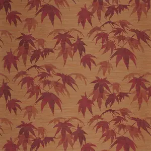  Zoffany Akaishi 312496 -  1