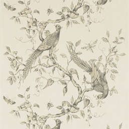  Zoffany Darnley 312848