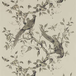  Zoffany Darnley 312849