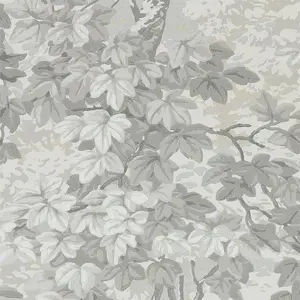  Zoffany Darnley 312856 -  1