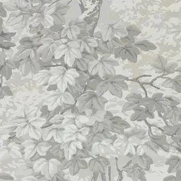  Zoffany Darnley 312856