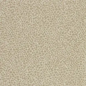 Zoffany Darnley 312870 -  1