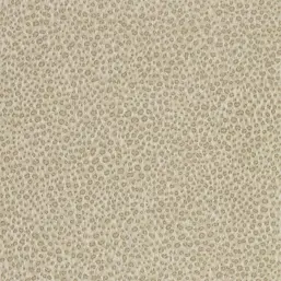  Zoffany Darnley 312870
