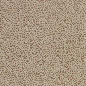  Zoffany Darnley 312877 -  1