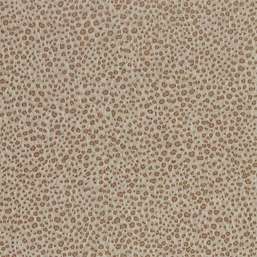  Zoffany Darnley 312877