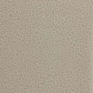  Zoffany Oblique 312835 -  1