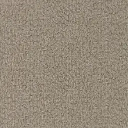  Zoffany Phaedra 312600