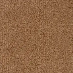  Zoffany Phaedra 312601