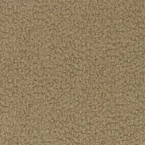  Zoffany Phaedra 312602 -  1
