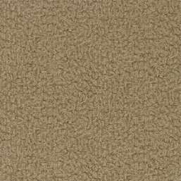  Zoffany Phaedra 312602