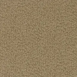  Zoffany Phaedra 312602