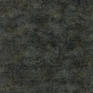  Zoffany Phaedra 312607 -  1