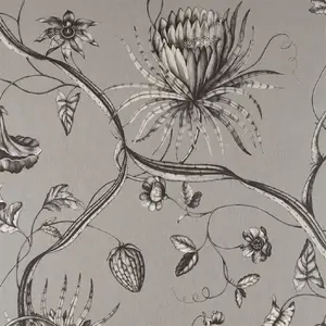  Zoffany Phaedra 312621 -  1