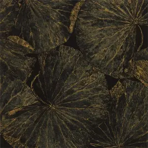  Zoffany The Muse 312750 -  1