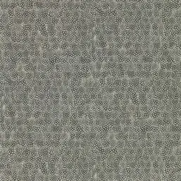  Zoffany Indienne 312650