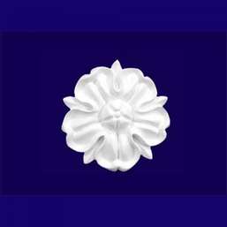      G2053