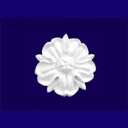      G2053