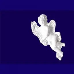      G2333R