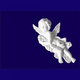      G2334R
