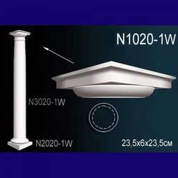    N1020-1  