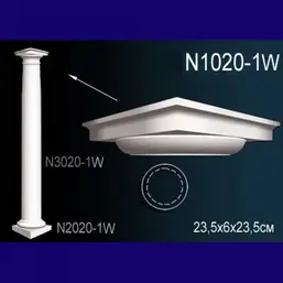    N1020-1  