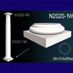    N2020-1W  