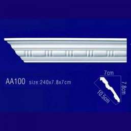        AA100