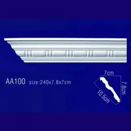         AA100F