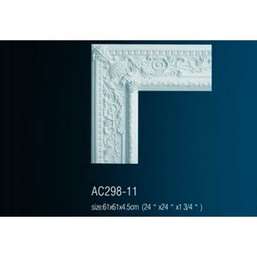      AC298-11